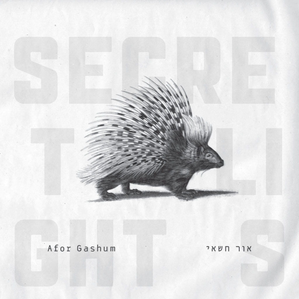 Secret Lights album